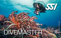 Divemaster small