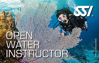 Assistant Instructor small