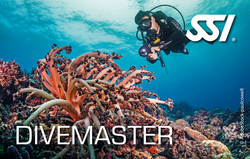 SSI Divemaster