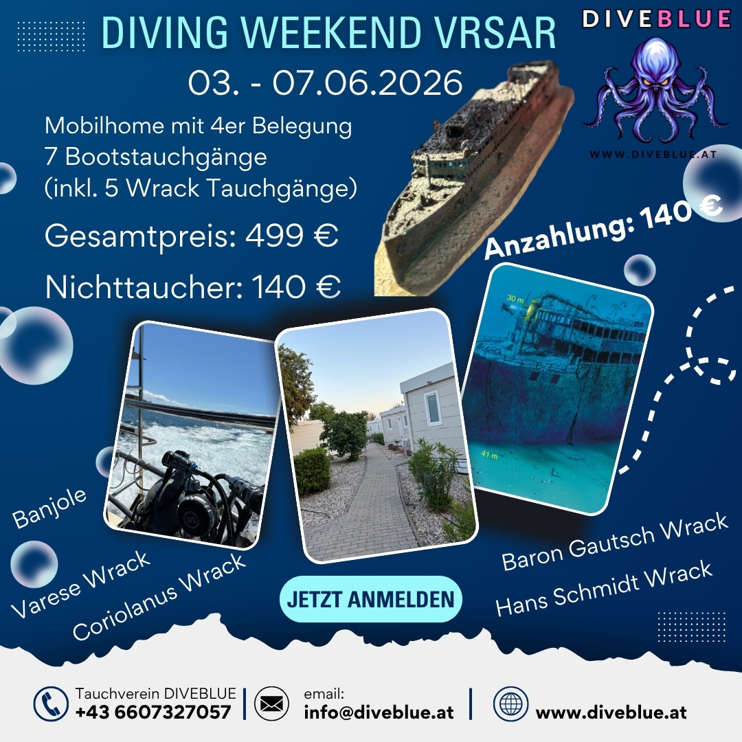 Blue Modern Scuba Diving School Instagram Post
